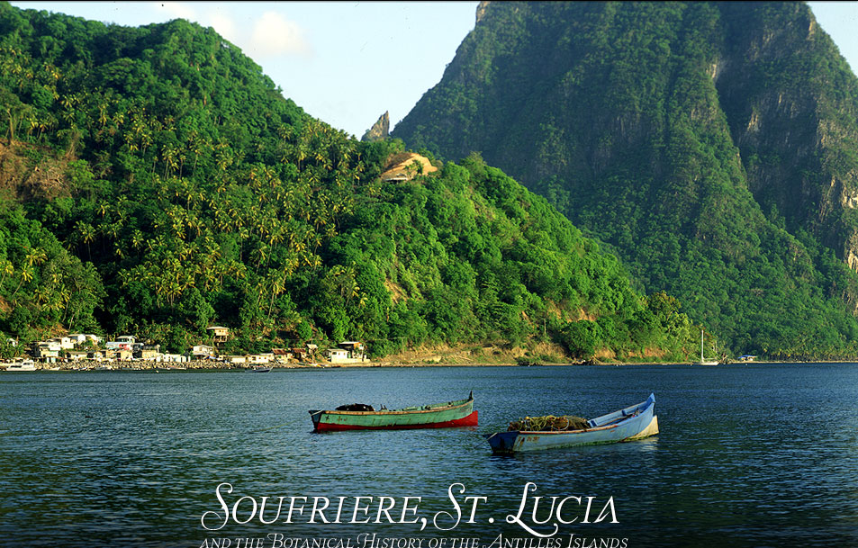 Fishing Boats
